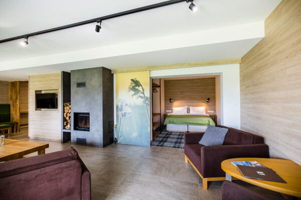 Amenity Hotel & Resort Lipno Chalet 8 personnes – Image 10