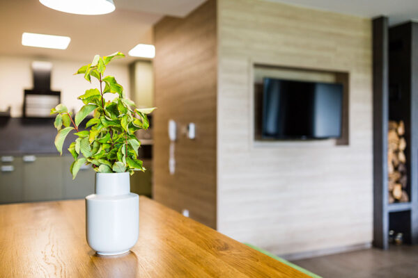 Amenity Hotel & Resort Lipno Chalet 8 personnes – Image 14